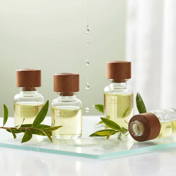 Olio di albero del tè